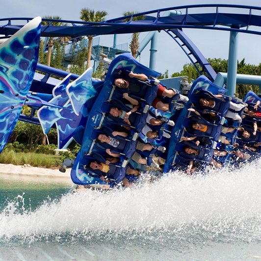 Manta Dips a Wing at SeaWorld Orlando
