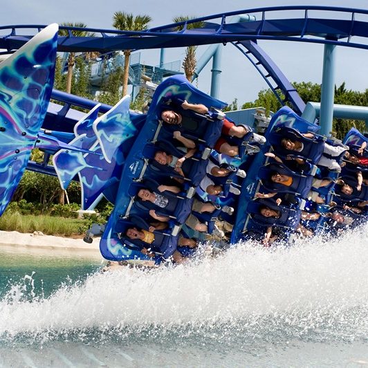 Manta Dips a Wing at SeaWorld Orlando